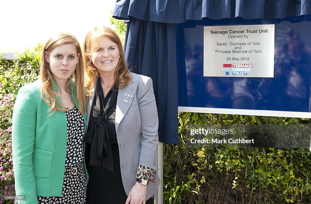 Royal Marsden Hospital Visit