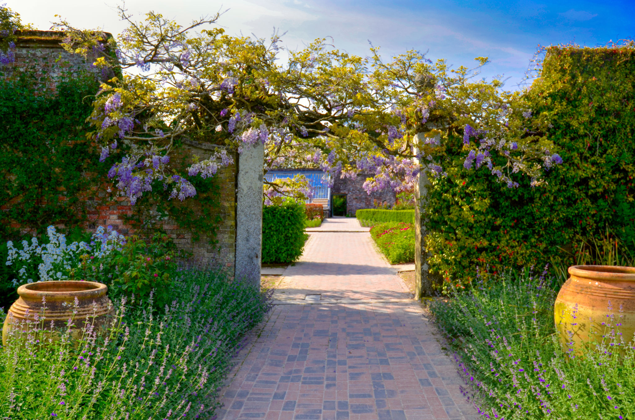 summer vegetable garden