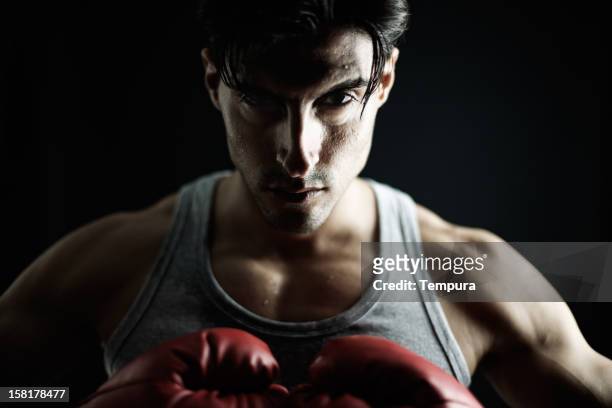 boxer on black, male. - fighting stance 個照片及圖片檔