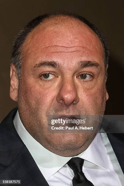 Actor James Gandolfini arrives at the premiere of Columbia Pictures' "Zero Dark Thirty" held at the Dolby Theatre on December 10, 2012 in Hollywood,...