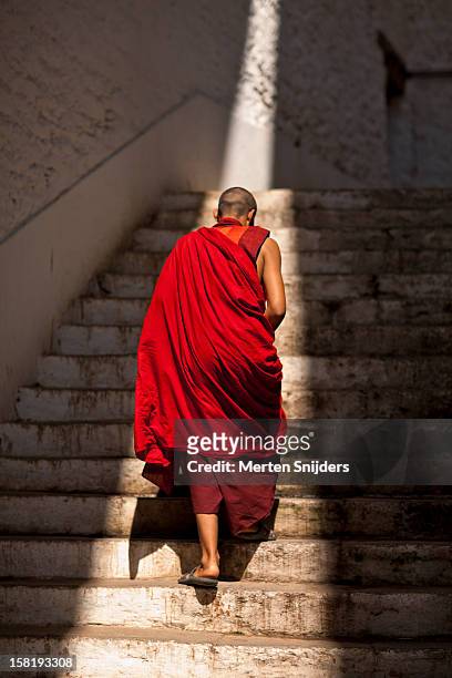 monk ascends stairs at punakha dzong - bhoutan photos et images de collection