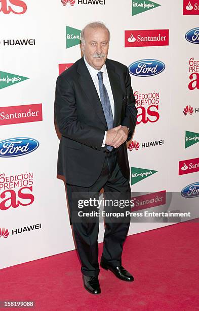 Vicente del Monte attends As Del Deporte' Awards 2012 on December 10, 2012 in Madrid, Spain.