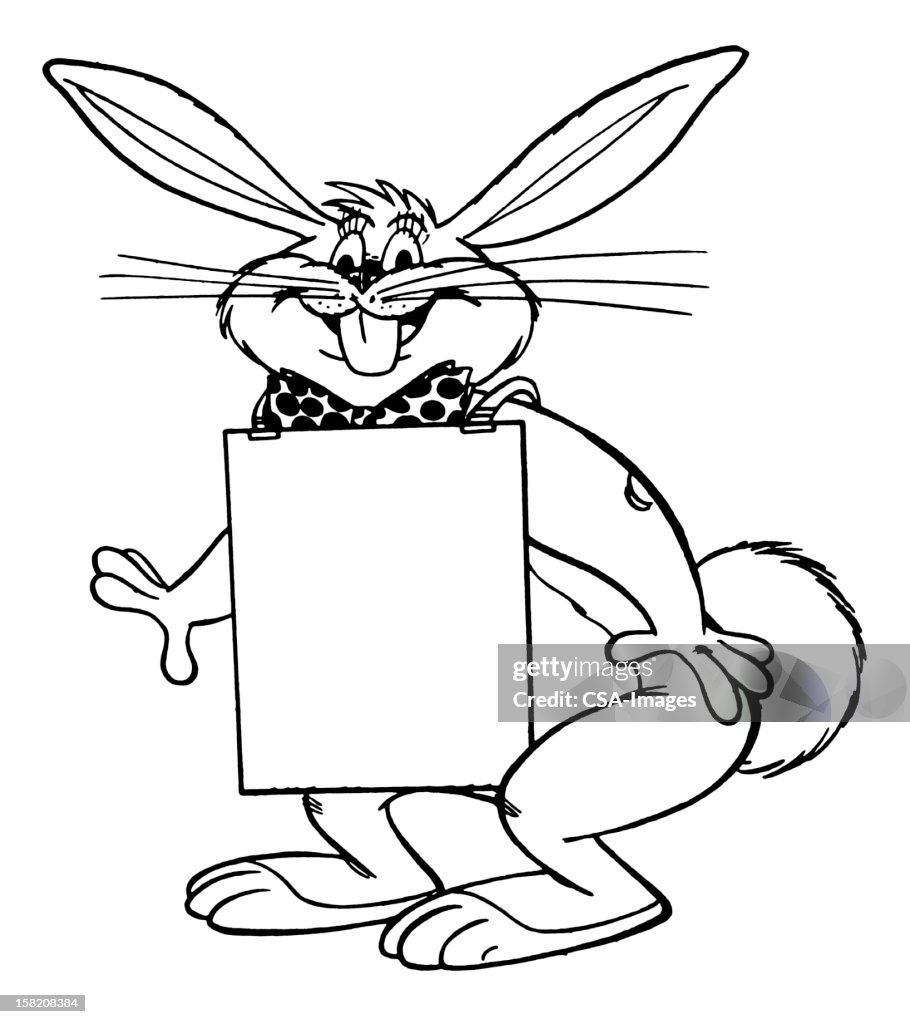 Blank Rabbit Sign Bunny With Blank Sign High-Res Vector Graphic - Getty Images