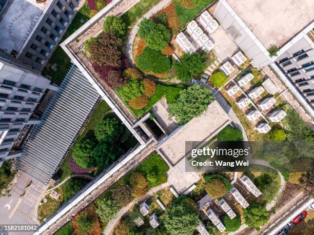 green roof - green roof stock pictures, royalty-free photos & images