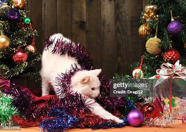 White cat playing with decorations