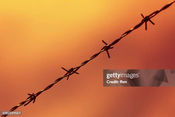 barbed wire at sunset - the liberty stock pictures, royalty-free photos & images