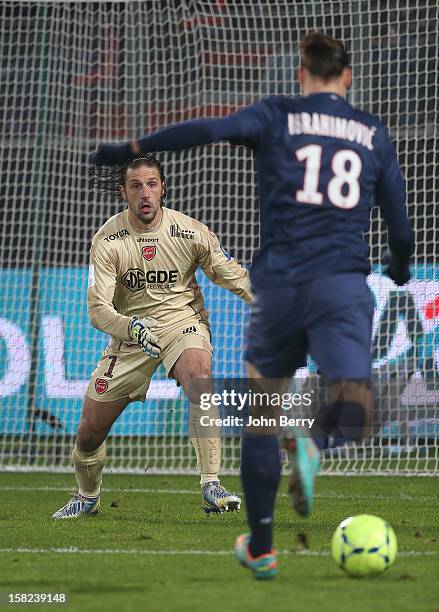 Zlatan Ibrahimovic of PSG facing Nicolas Penneteau, goalkeeper of VAFC during the French Ligue 1 match between Valenciennes FC and Paris...