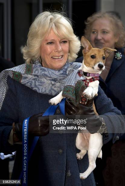 Camilla, Duchess of Cornwall carries her Jack Russell dog Bluebell as she arrives during a visit to Battersea Dog and Cats Home on December 12, 2012...