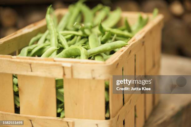 close up of a wooden crate filled with broad beans - fava bean stock pictures, royalty-free photos & images