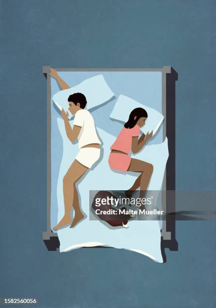 stockillustraties, clipart, cartoons en iconen met view from above couple sleeping in bed with dog - couple in bed