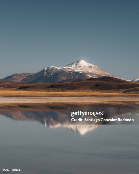 laguna brava in the province of la rioja! - la rioja province argentina fotografías e imágenes de stock