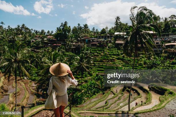 donna che gode delle risaie di bali - indonesia foto e immagini stock