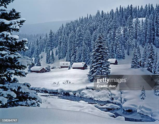 snowy log cabins in ethereal moonlight - american christmas stock pictures, royalty-free photos & images