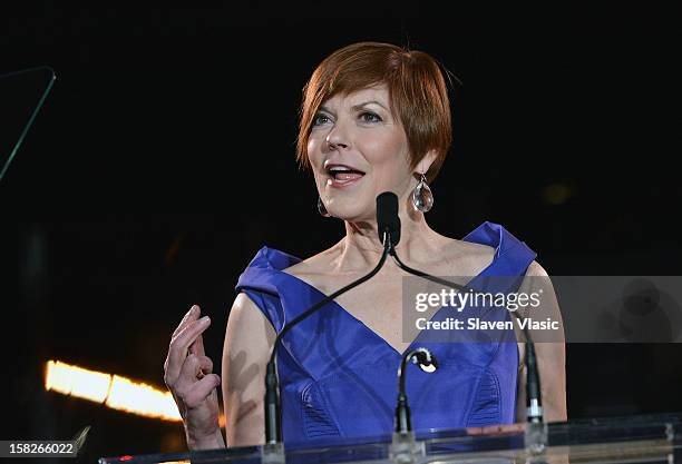 Lynne Greene attends the 2012 Happy Hearts Fund Land Of Dreams: Mexico Gala at Metropolitan Pavilion on December 11, 2012 in New York City.