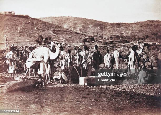 stockillustraties, clipart, cartoons en iconen met ethiopia, unloading the camels, 1888 - ethiopië