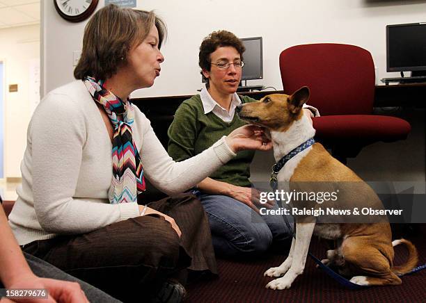 Therapy dogs, News Photo