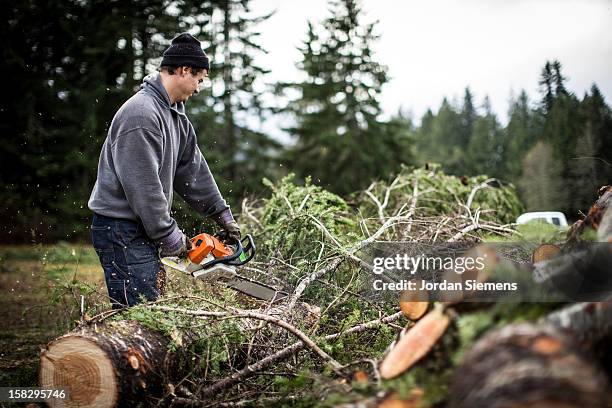 cutting fire wood. - forstwirtschaft stock-fotos und bilder