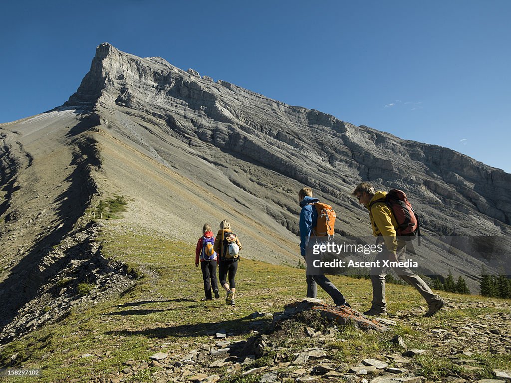 Hikers walk through meadow towards mountain