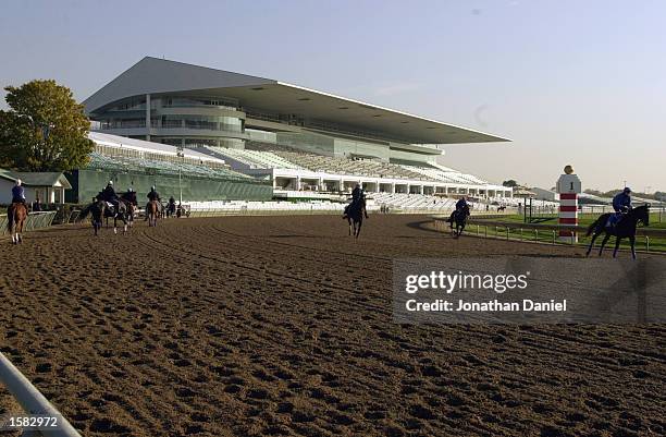 General view of the track and grandstands at Arlington Park during morning workouts for the 2002 Breeders' Cup World Thoroughbred Championships on...