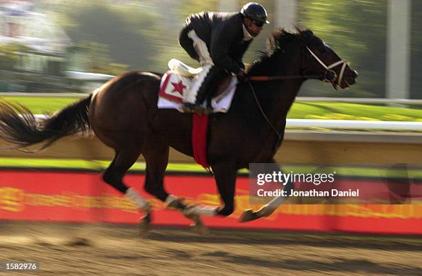 Sky Mesa" a 2-year old entered in the $1 million Bessemer Trust Breeders' Cup Juvenile works out in the early morning in preparation for the 2002...