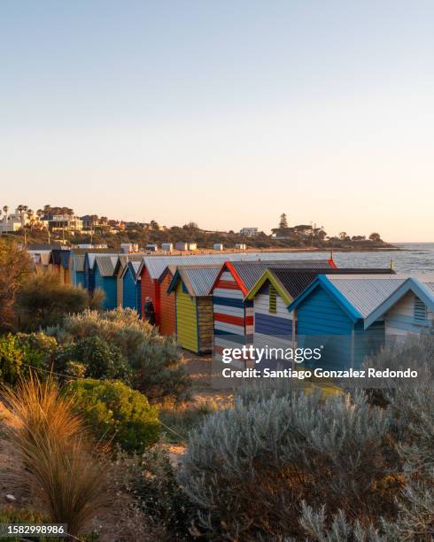 a ground level view from the brighton beach huts and beach in melbourne. - brighton beach melbourne stock pictures, royalty-free photos & images