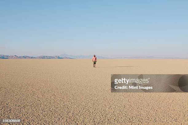 man walking across a flat desert landscape - nevada stock-fotos und bilder