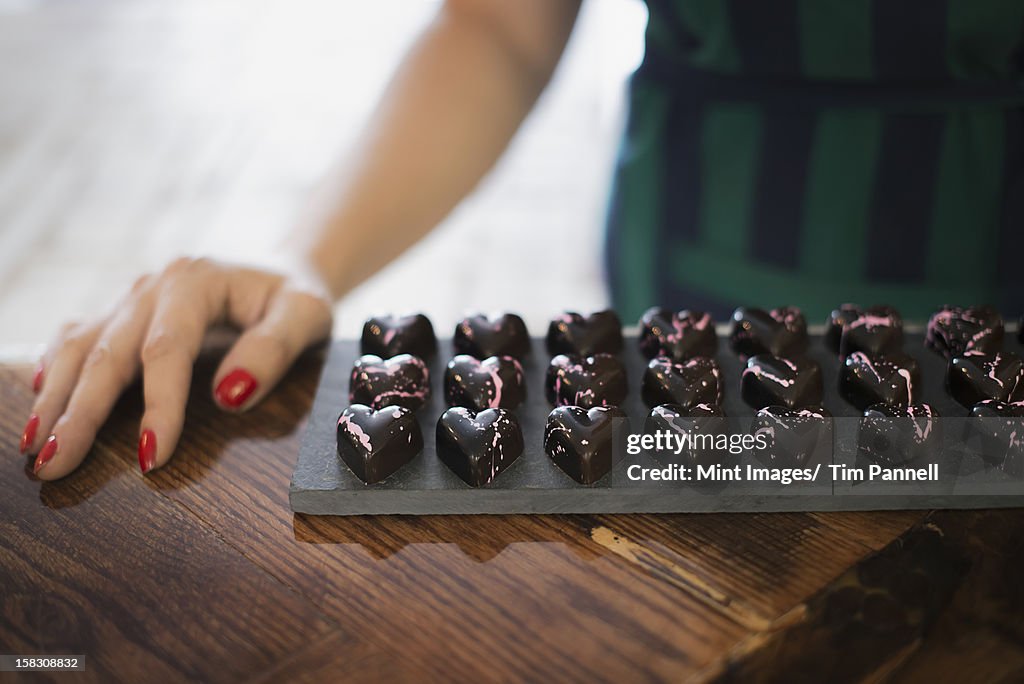 Organic Chocolate Manufacturing. A person holding a tray of moulded chocolates.