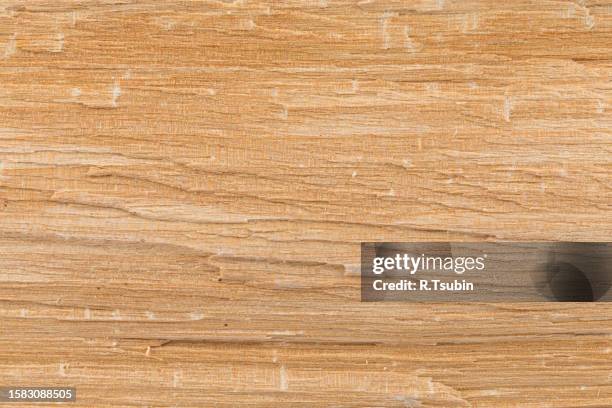 birch wood texture - vintage desktop wallpaper stock pictures, royalty-free photos & images