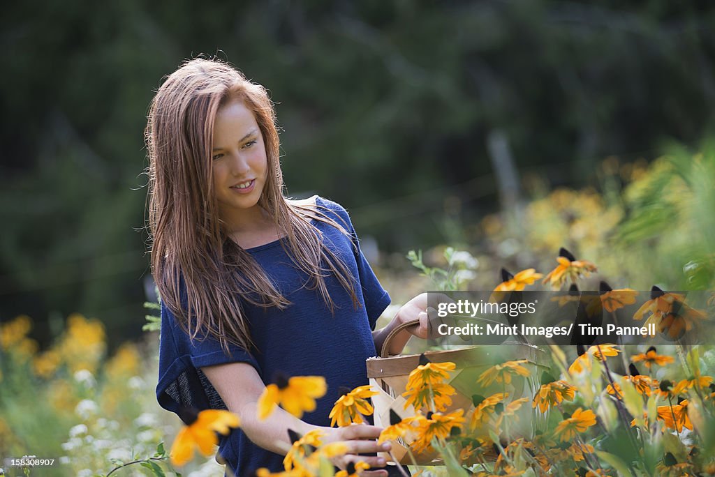 A young girl in a field surrounded by flowers.