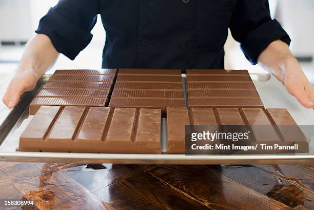 organic chocolate manufacturing. a person holding a tray of processed chocolate slabs. - shandaken stock pictures, royalty-free photos & images