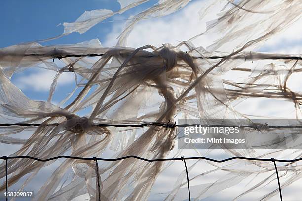 plastic bags caught on a barbed wire fence - torn metal stock pictures, royalty-free photos & images