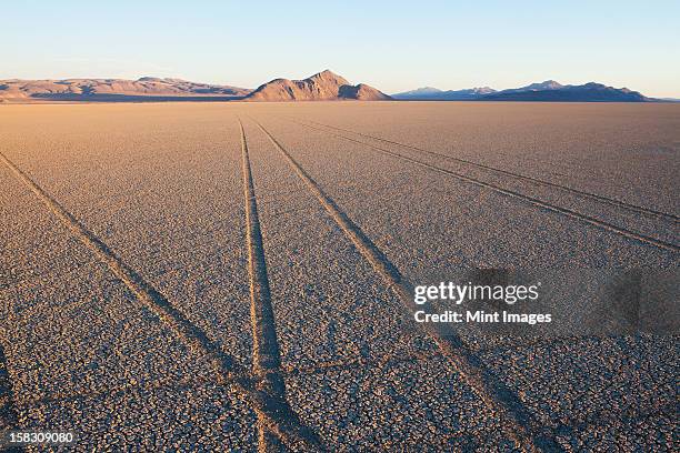 tyre marks and tracks in the playa salt pan surface of black rock desert, nevada. - black rock desert stock pictures, royalty-free photos & images