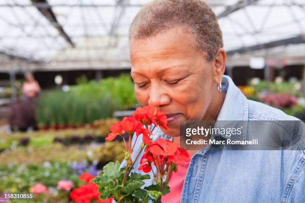 684 Black Woman Smelling Flowers Photos and Premium High Res Pictures - Getty Images