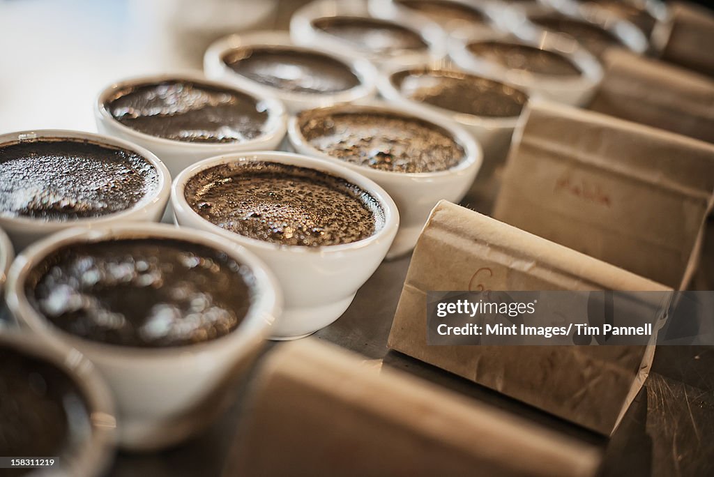 La procedura di campionatura in un caffè elaborazione shed, dove il personale