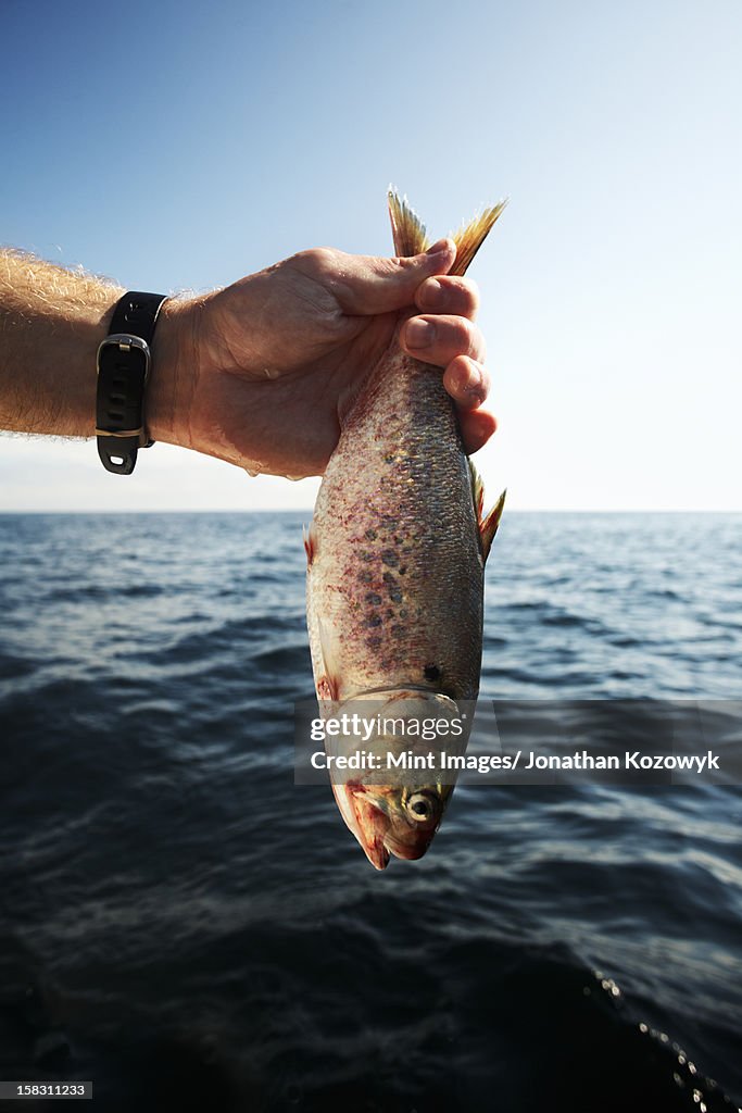 A man holding a large fish by the tail over the water.