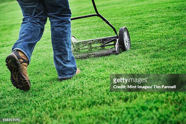 a young man mowing the grass on a property, using an old fashioned lawnmower. - lawnmower stock pictures, royalty-free photos & images