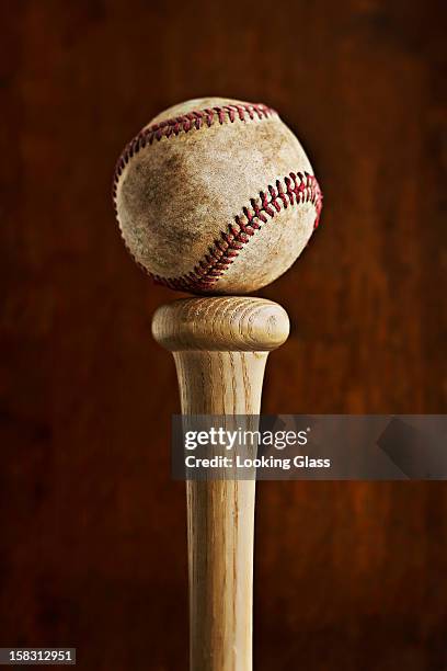 baseball balancing on baseball bat - bastão de basebol imagens e fotografias de stock