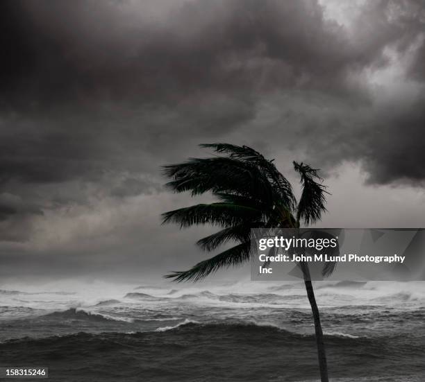 storm over tropical sea - hurrikan stock-fotos und bilder