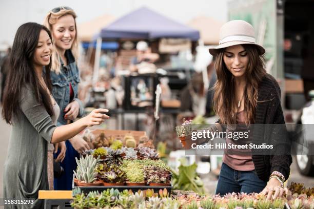 friends looking at plants in market - flea market stock pictures, royalty-free photos & images