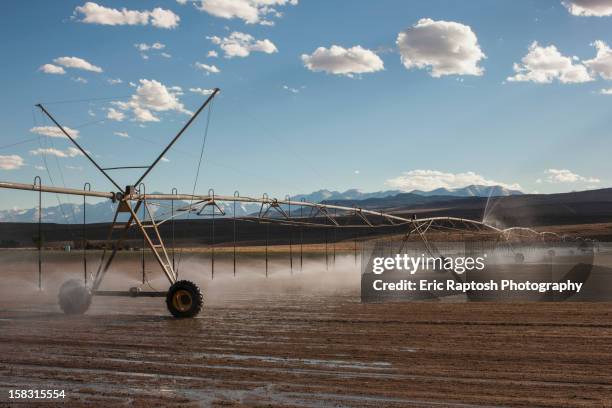 irrigation sprinklers watering field - center pivot irrigation stock pictures, royalty-free photos & images