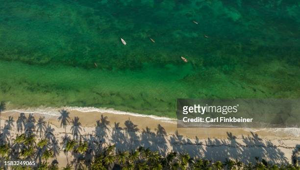 aerial view of coconut beach with coral reef on east african coast - mombasa stock-fotos und bilder