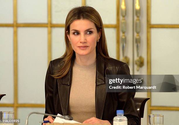 Princess Letizia of Spain attends the Meeting of 'Principe de Girona's Foundation' at the Palauet Albeniz on December 13, 2012 in Barcelona, Spain.