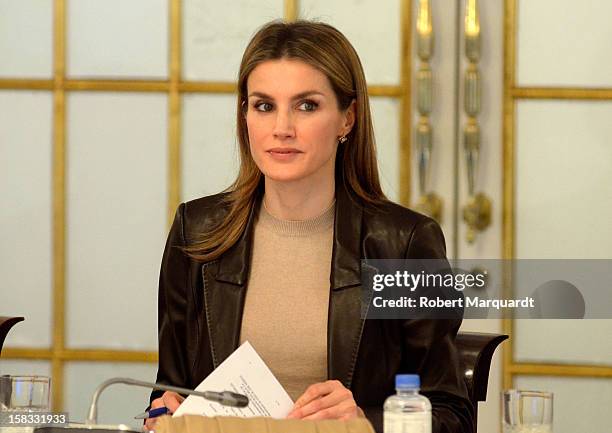 Princess Letizia of Spain attends the Meeting of 'Principe de Girona's Foundation' at the Palauet Albeniz on December 13, 2012 in Barcelona, Spain.