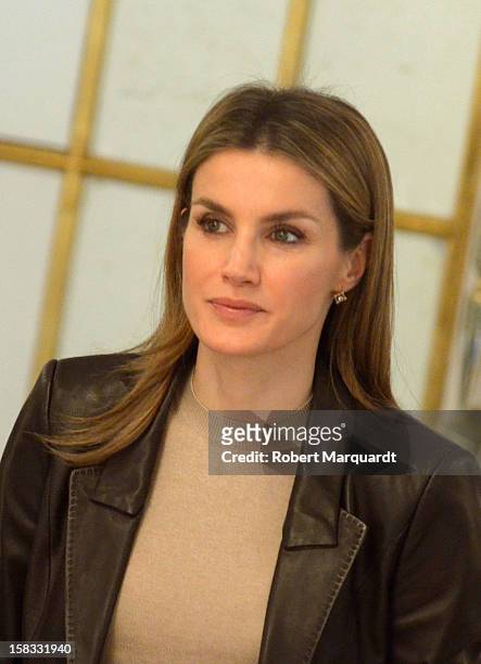 Princess Letizia of Spain attends the Meeting of 'Principe de Girona's Foundation' at the Palauet Albeniz on December 13, 2012 in Barcelona, Spain.