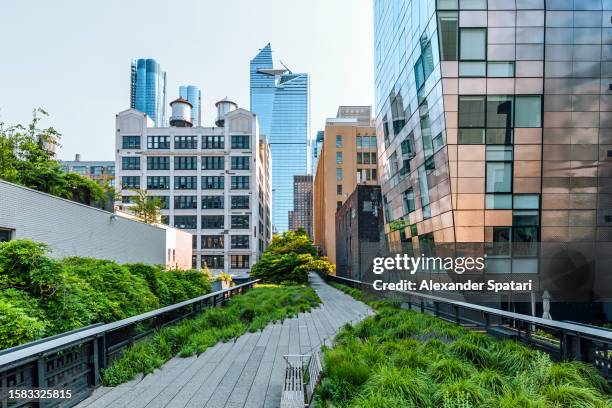 high line park and skyscrapers of hudson yards, new york city, usa - hudson yards manhattan stock pictures, royalty-free photos & images