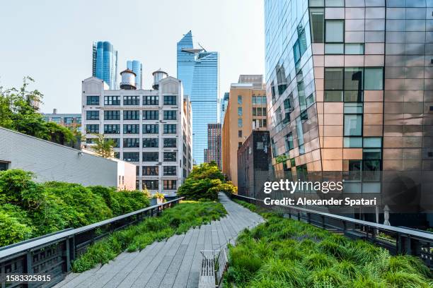 high line park and skyscrapers of hudson yards, new york city, usa - high line stock pictures, royalty-free photos & images