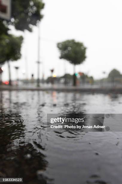 water drops in a puddle - meteorologie stockfoto's en -beelden