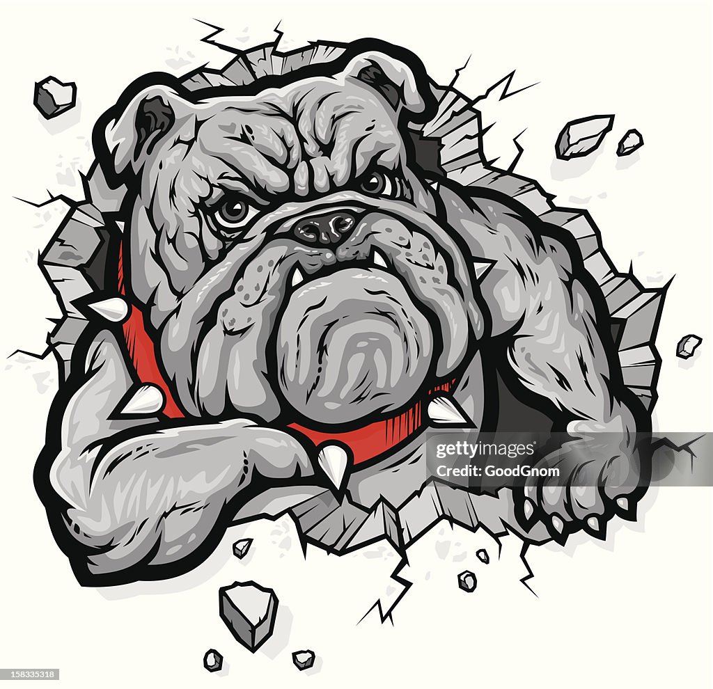 Bulldog