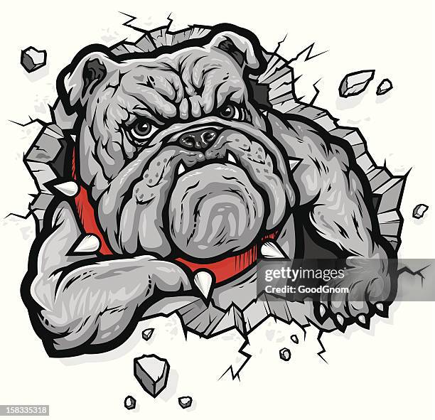 bulldog - dog collar stock illustrations