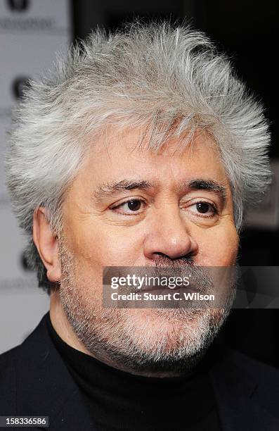 Pedro Almodovar attends as The Academy of Motion Picture Arts and Sciences honours director Pedro Almodovar at Curzon Soho on December 13, 2012 in...